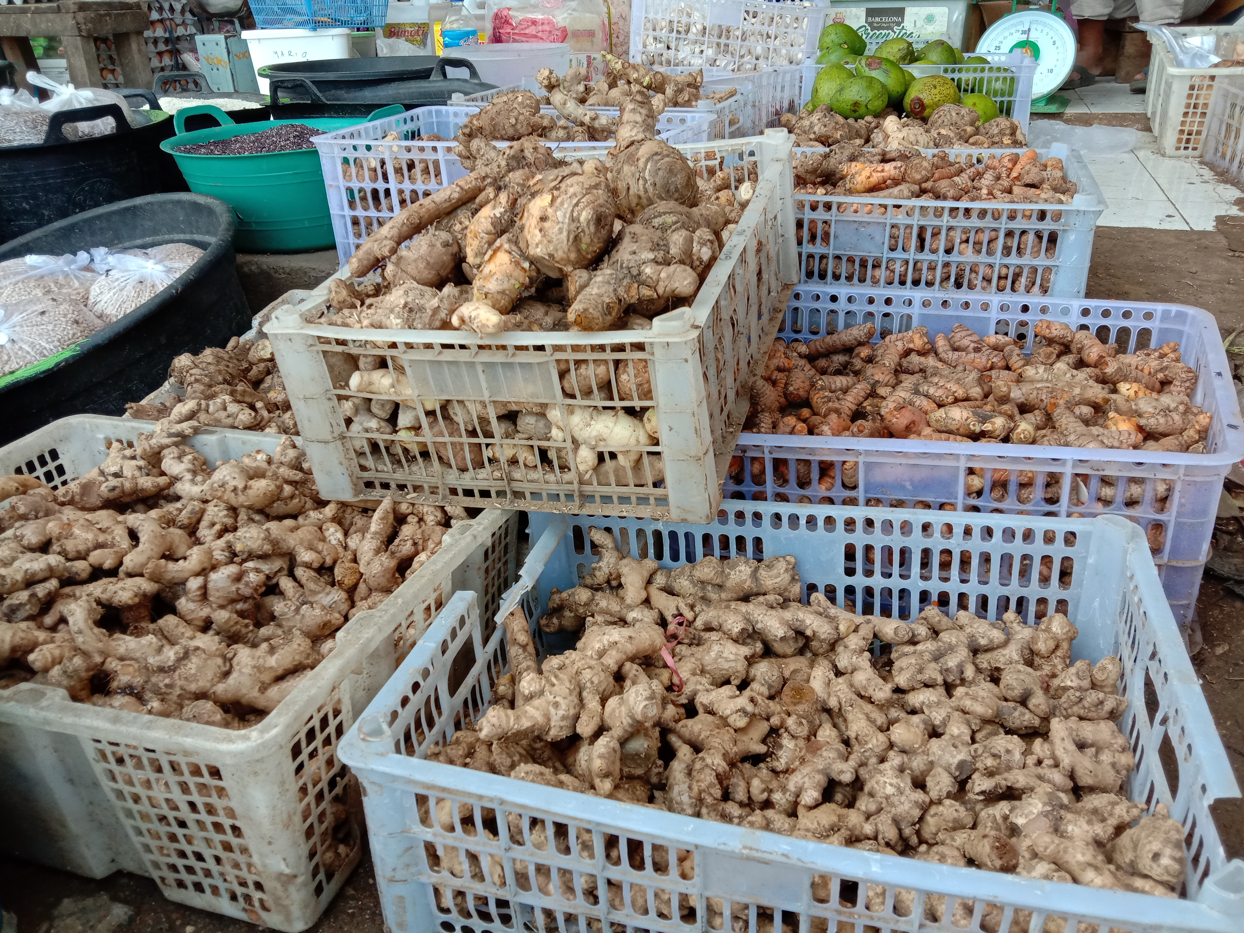 Rempah-rempah lokal sepeti kunyit dan jahe dipercaya bagus untuk menjaga imun tubuh di masa pandemi.