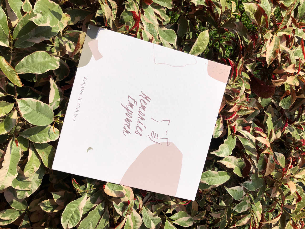 Kenang Masa Indah Sebelum Pandemi, Kingston Kampanyekan Kingston is With You