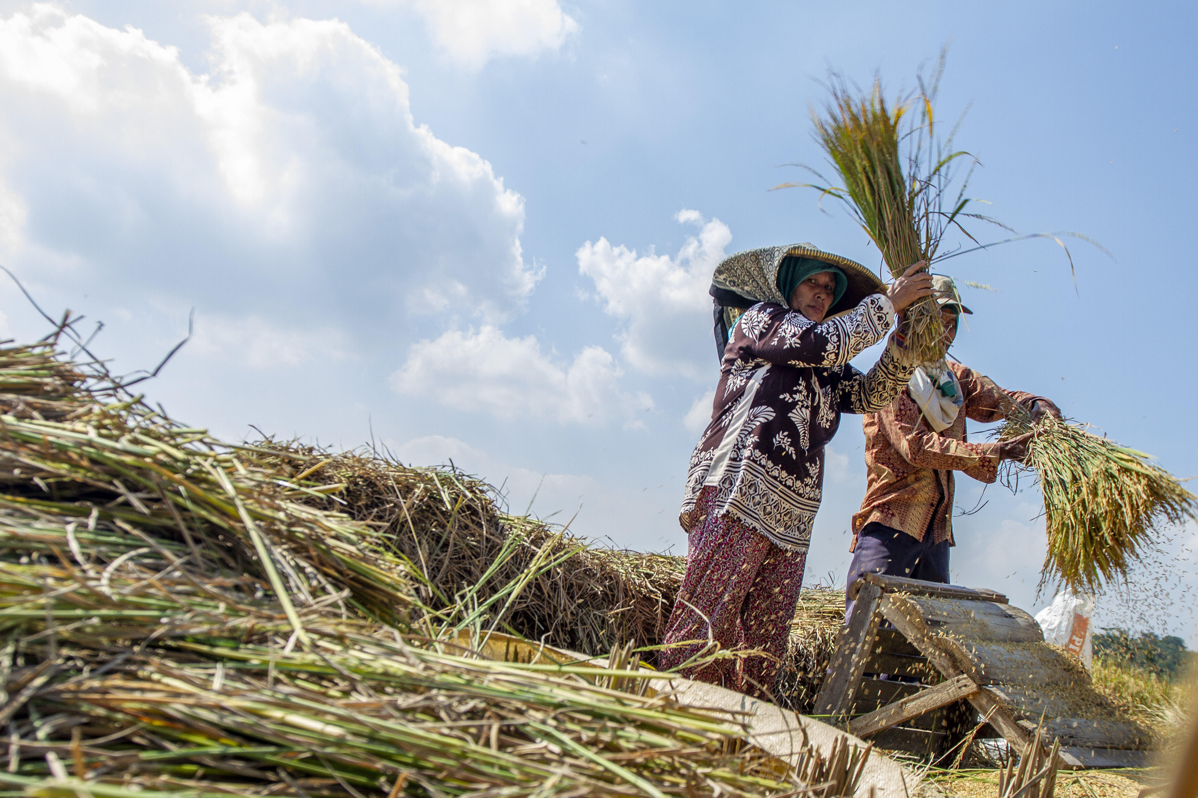 Wujudkan Korporatisasi Pangan, Pemerintah Dorong Konsolidasi Petani dalam Koperasi