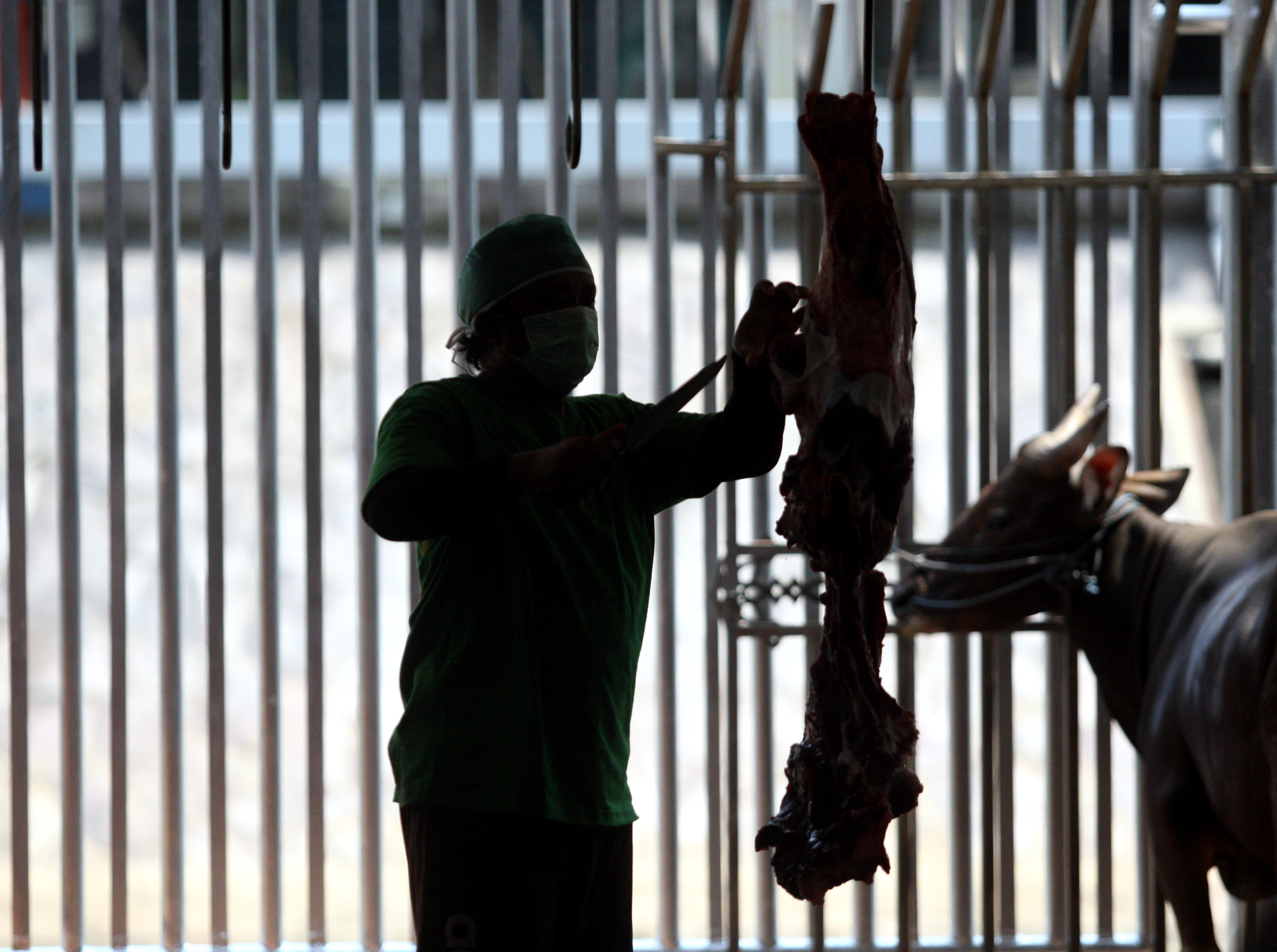 Pemotongan Hewan Kurban di Kepulauan Seribu Pakai Prokes Ketat