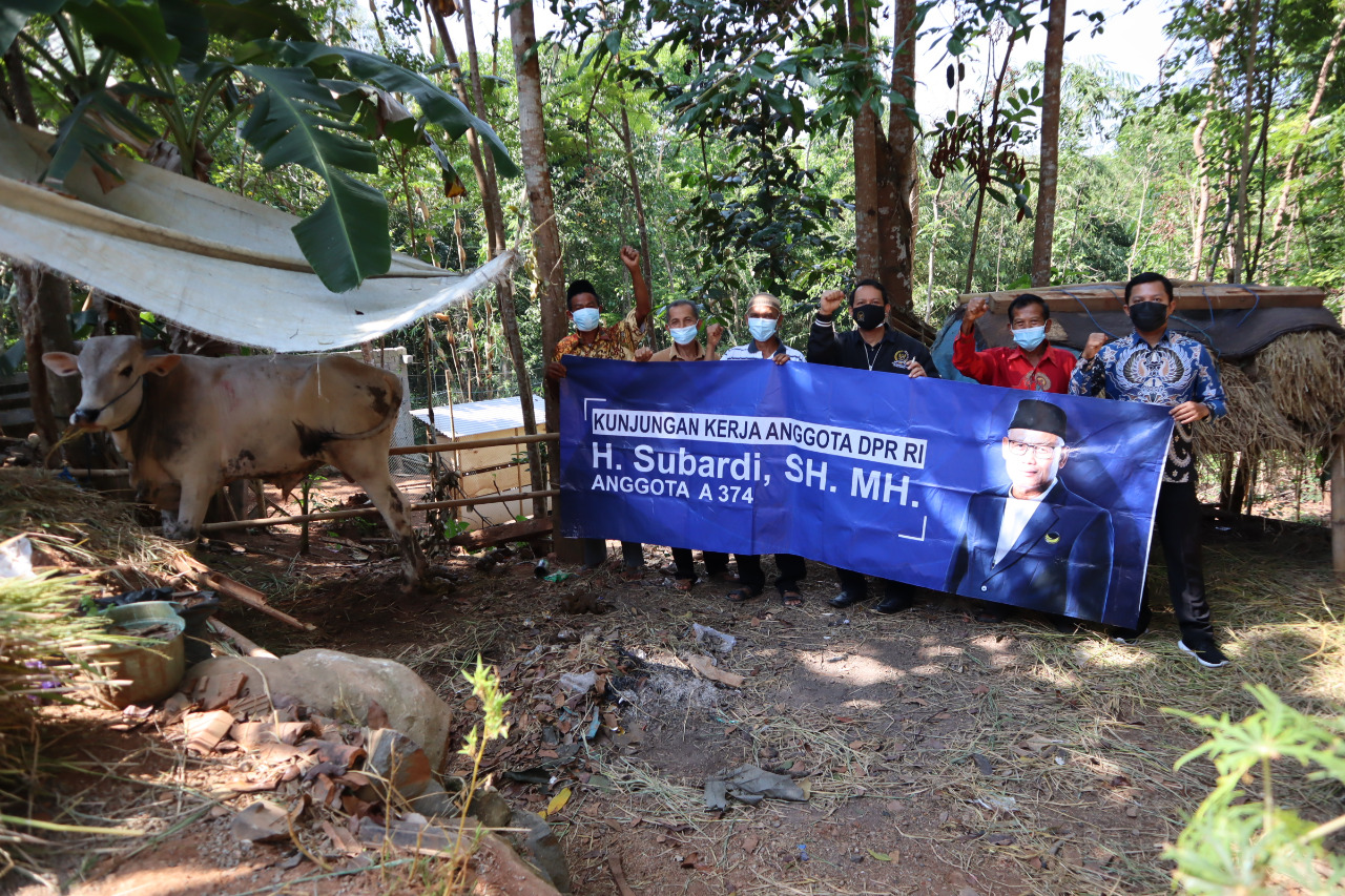 Subardi Serahkan 10 Sapi Kurban untuk Warga DIY