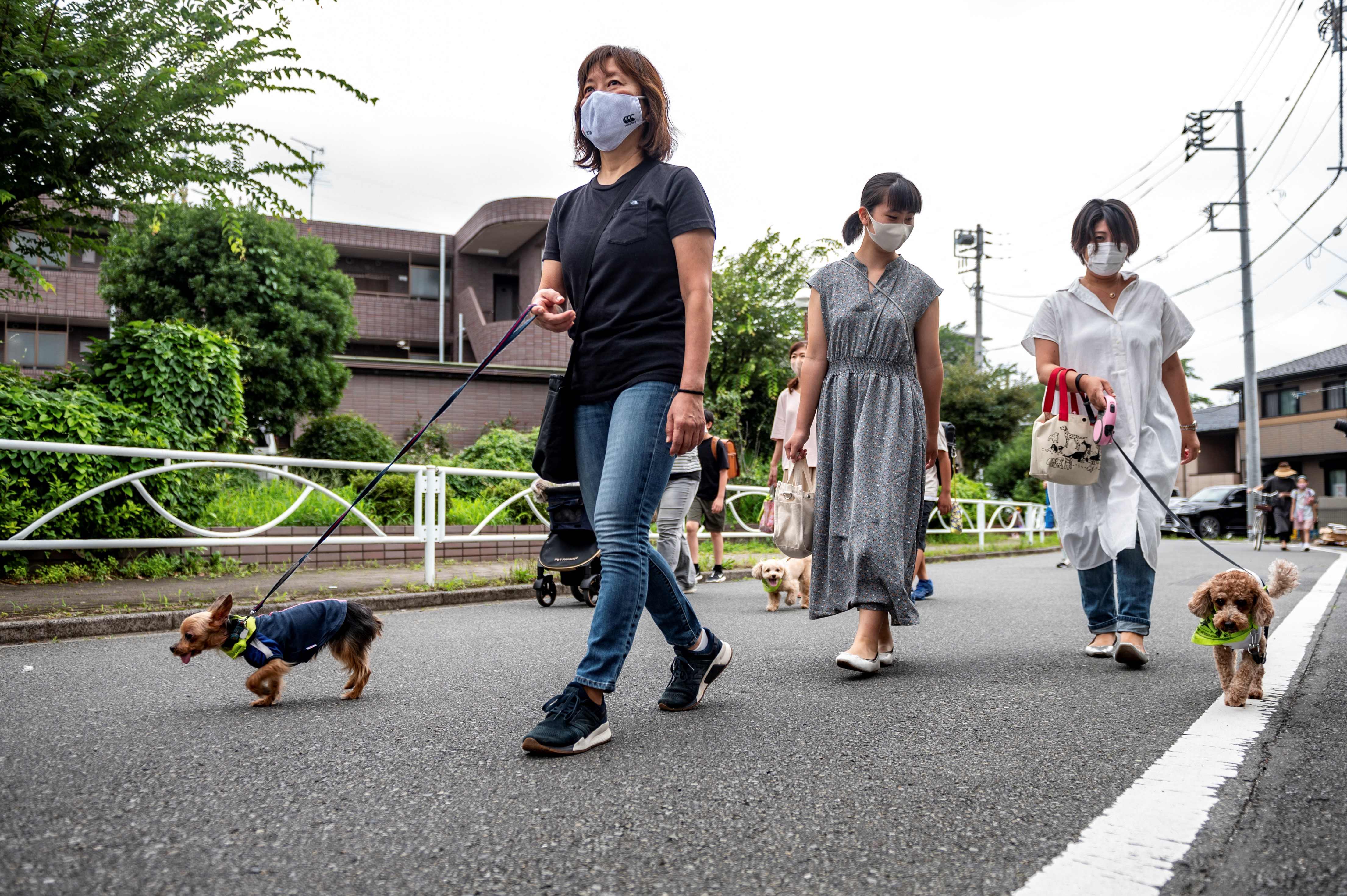Sejumlah anjing yang tergabung dalam Patroli Wan-Wan melakukan perjalanan ke sebuah sekolah dasar di Tokyo, Jepang.