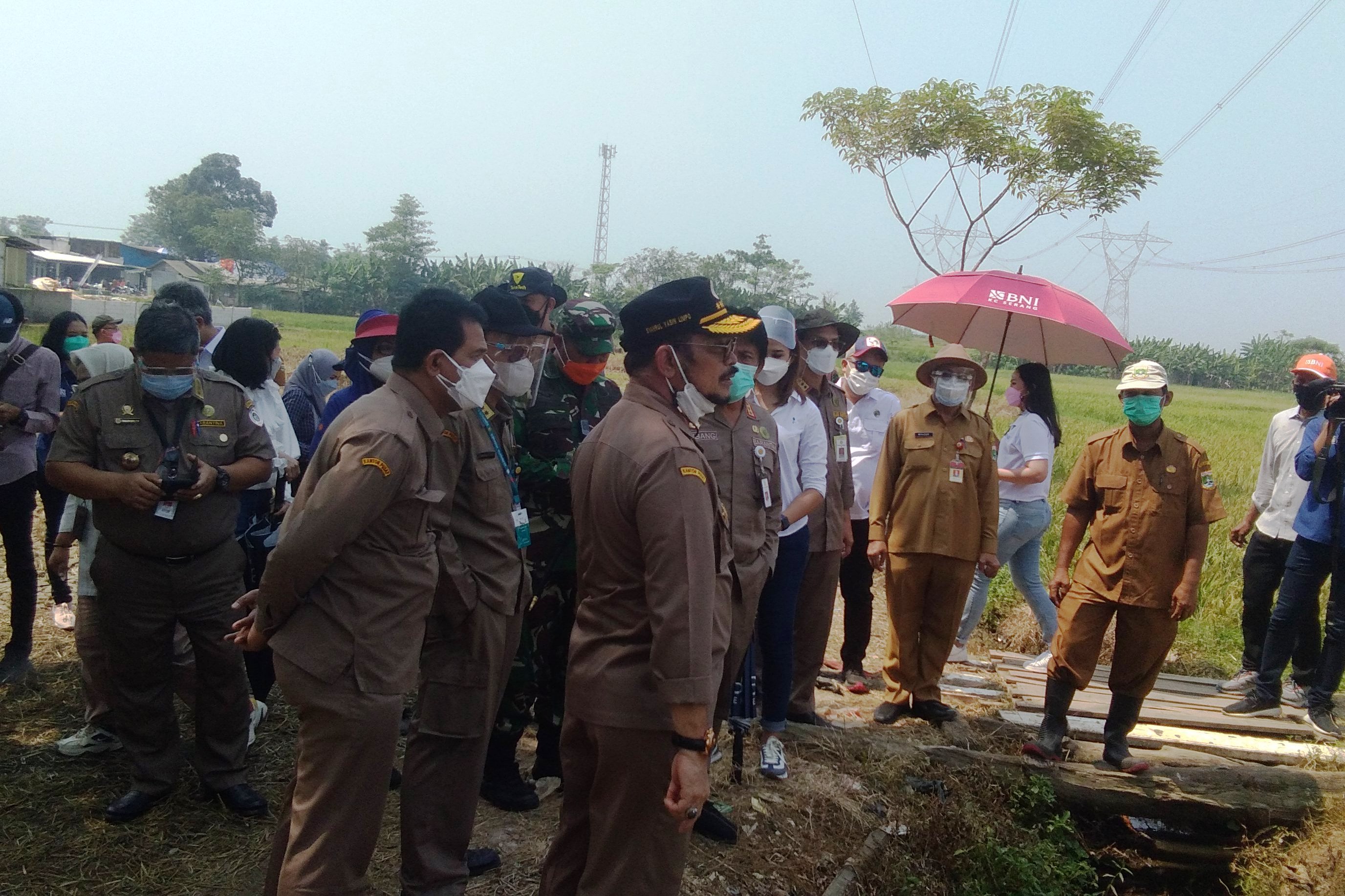 Mentan Syahrul Yasin Limpo