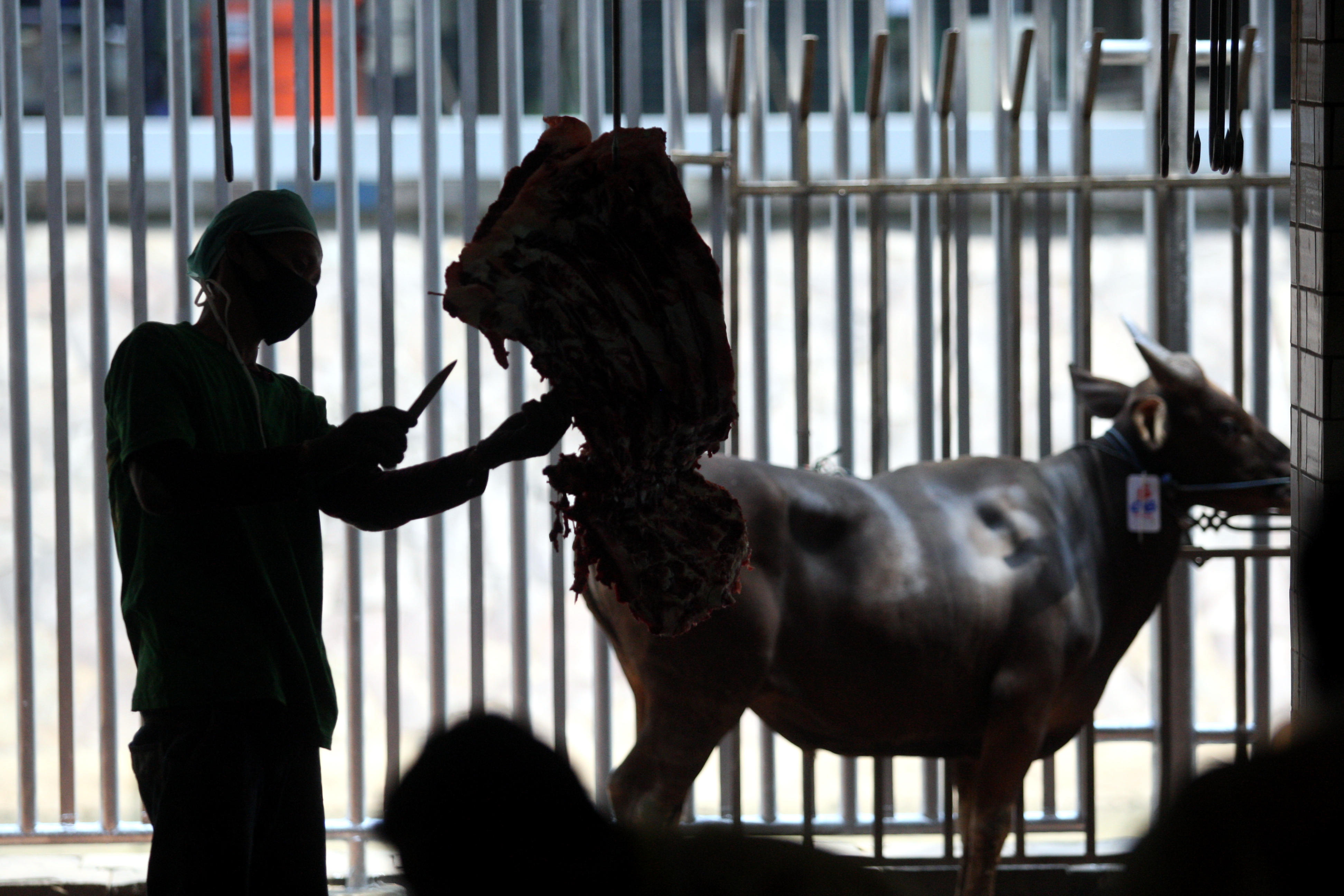 Ilustrasi pemotongan hewan kurban