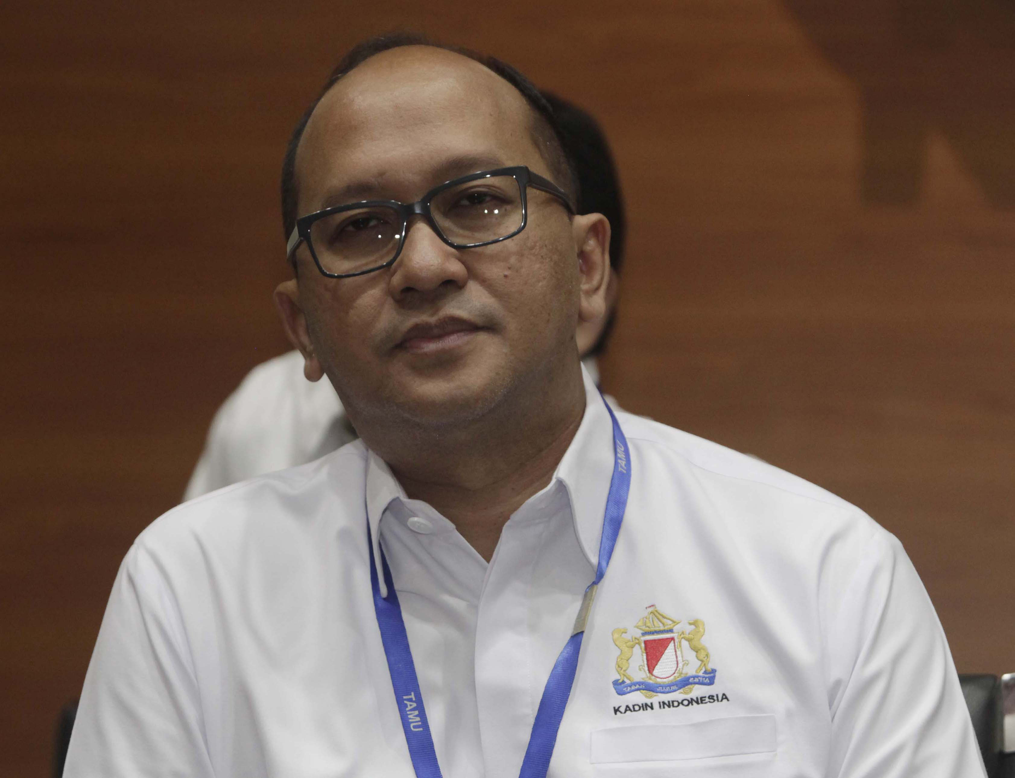 Chef de Mission (CdM) tim Indonesia Rosan P Roeslani.