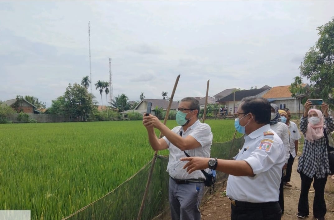 Kementan Sampaikan Sejumlah Rekomendasi untuk Meningkatkan Proyek IPDMIP
