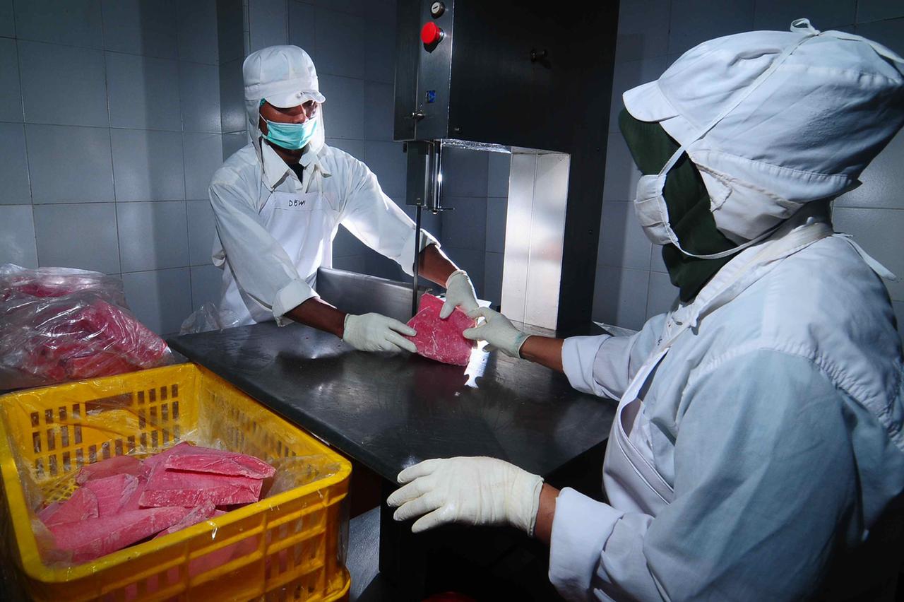 Aktivitas di SKIPM Kupang.