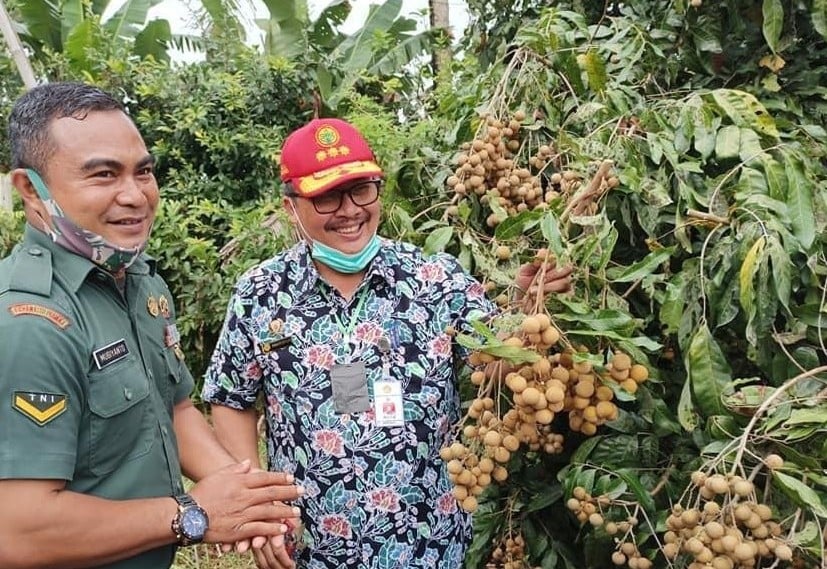 Direktorat Jenderal Hortikultura memiliki program prioritas Pengembangan Kampung Hortikultura.