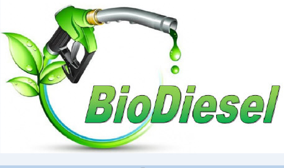 Shell Gelar Diskusi Perkembangan Biodiesel Masa Depan