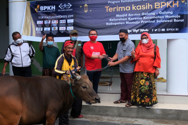 Arwan Aras Salurkan 13 Ekor Sapi Kurban untuk Masyarakat Sulbar