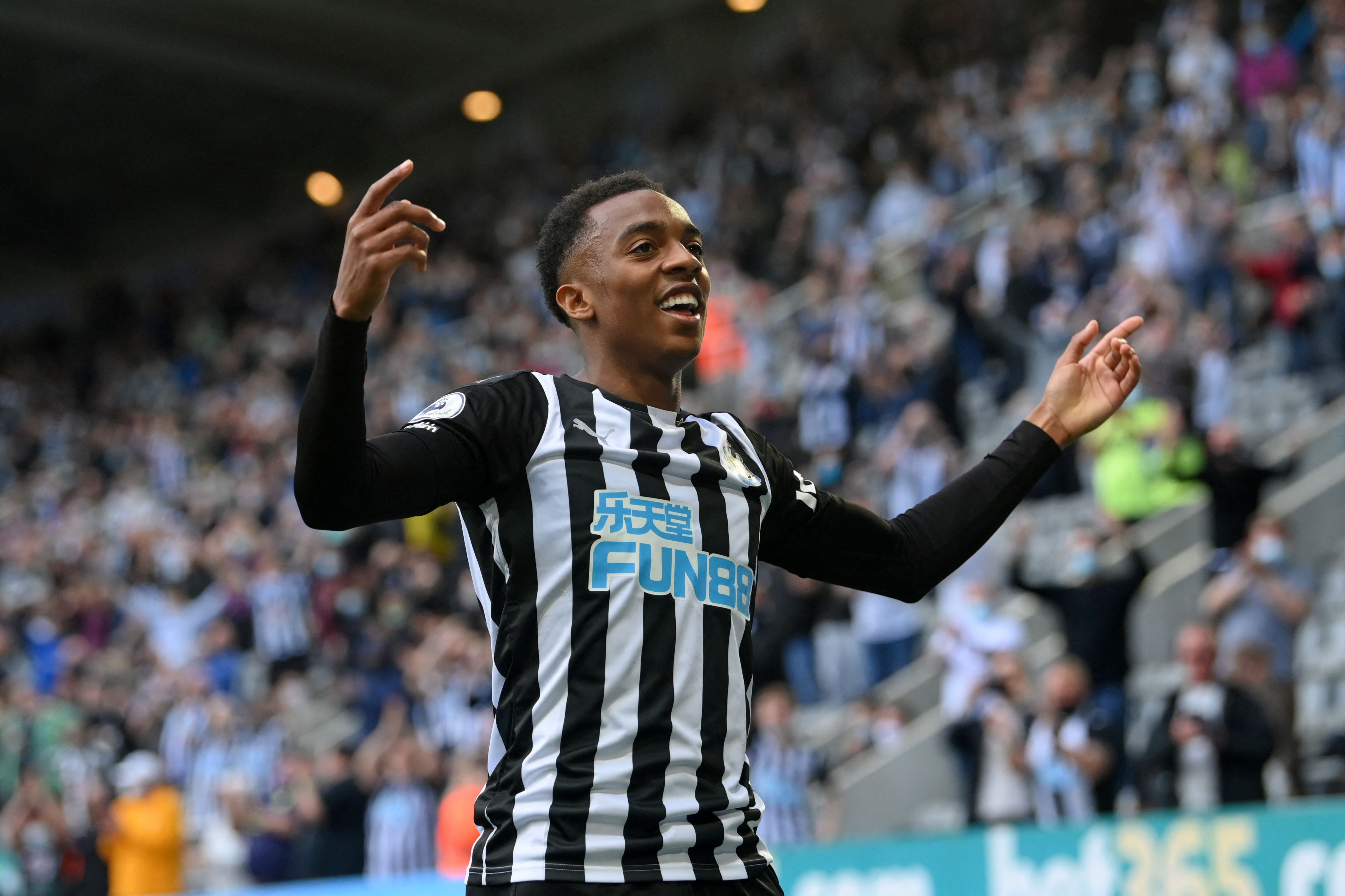 Gelandang Newcastle United Joe Willock