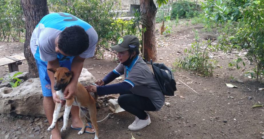 Vaksinasi rabies kepada anjing mengurangi kasus kematian akibat rabies 