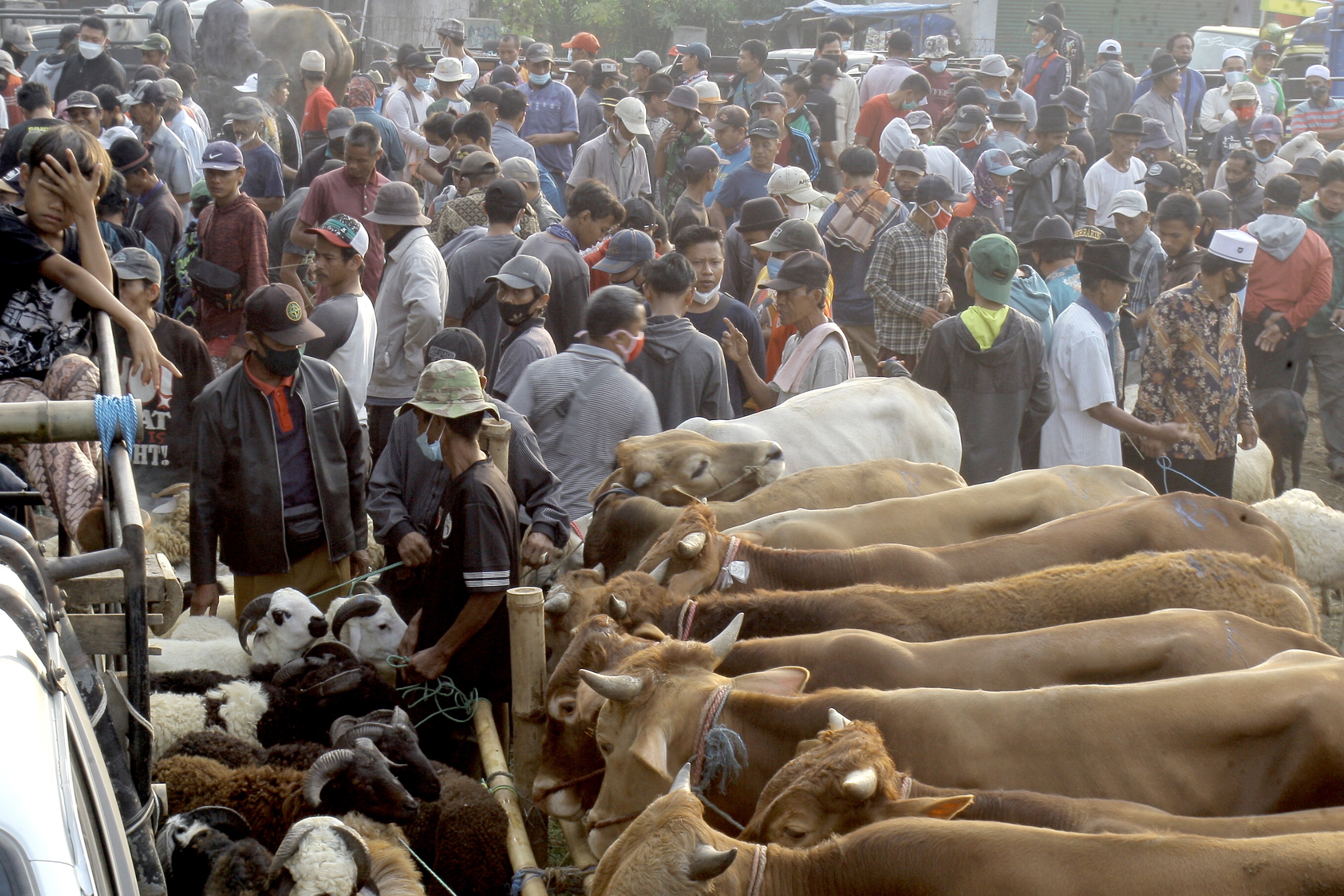 Kerumunan pedagang dan pembeli yang tidak menjalankan protokol kesehatan di Pasar Hewan Jonggol, Kabupaten Bogor, Jawa Barat.
