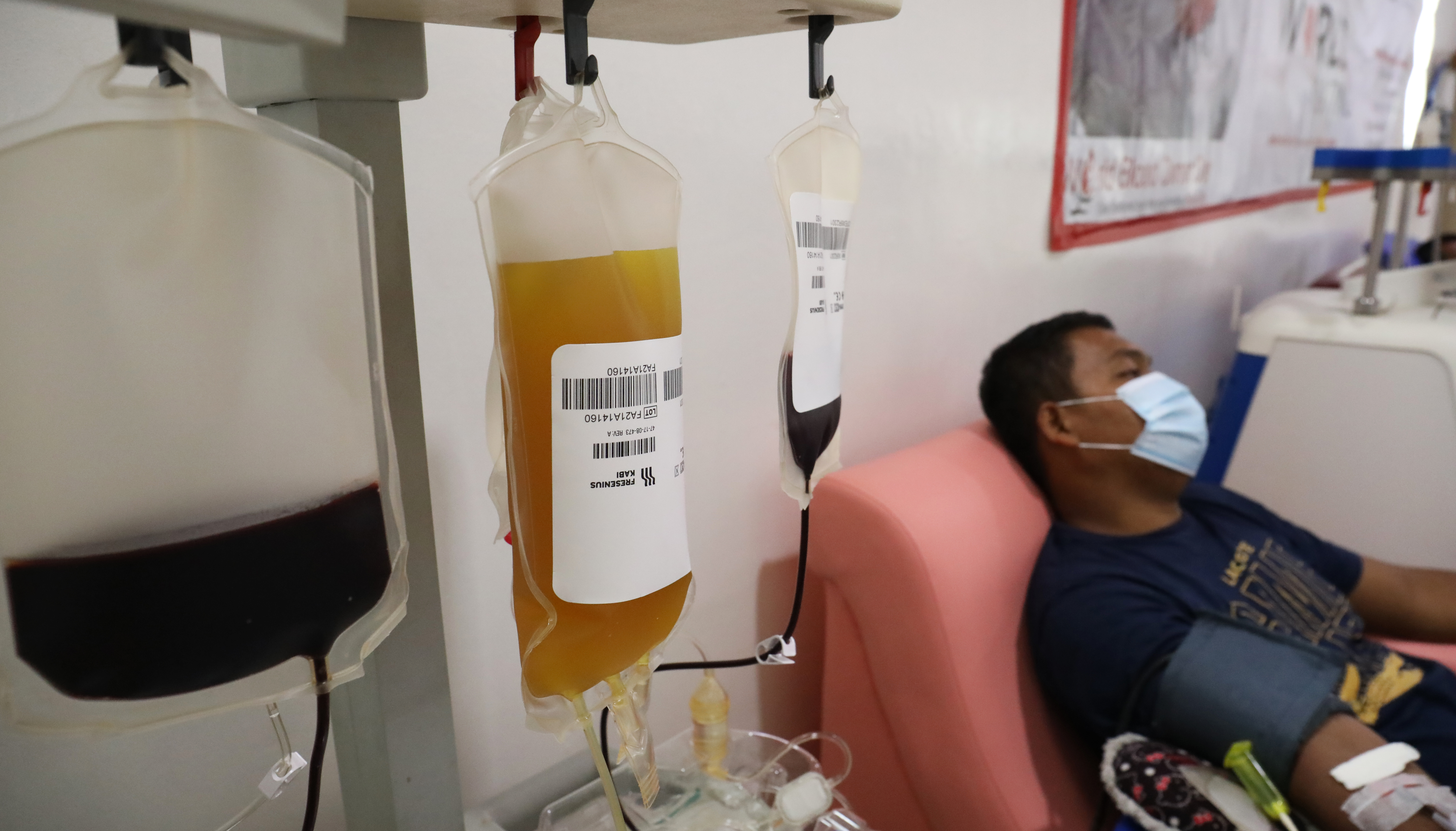 Ilustrasi proses donor plasma konvalesen.