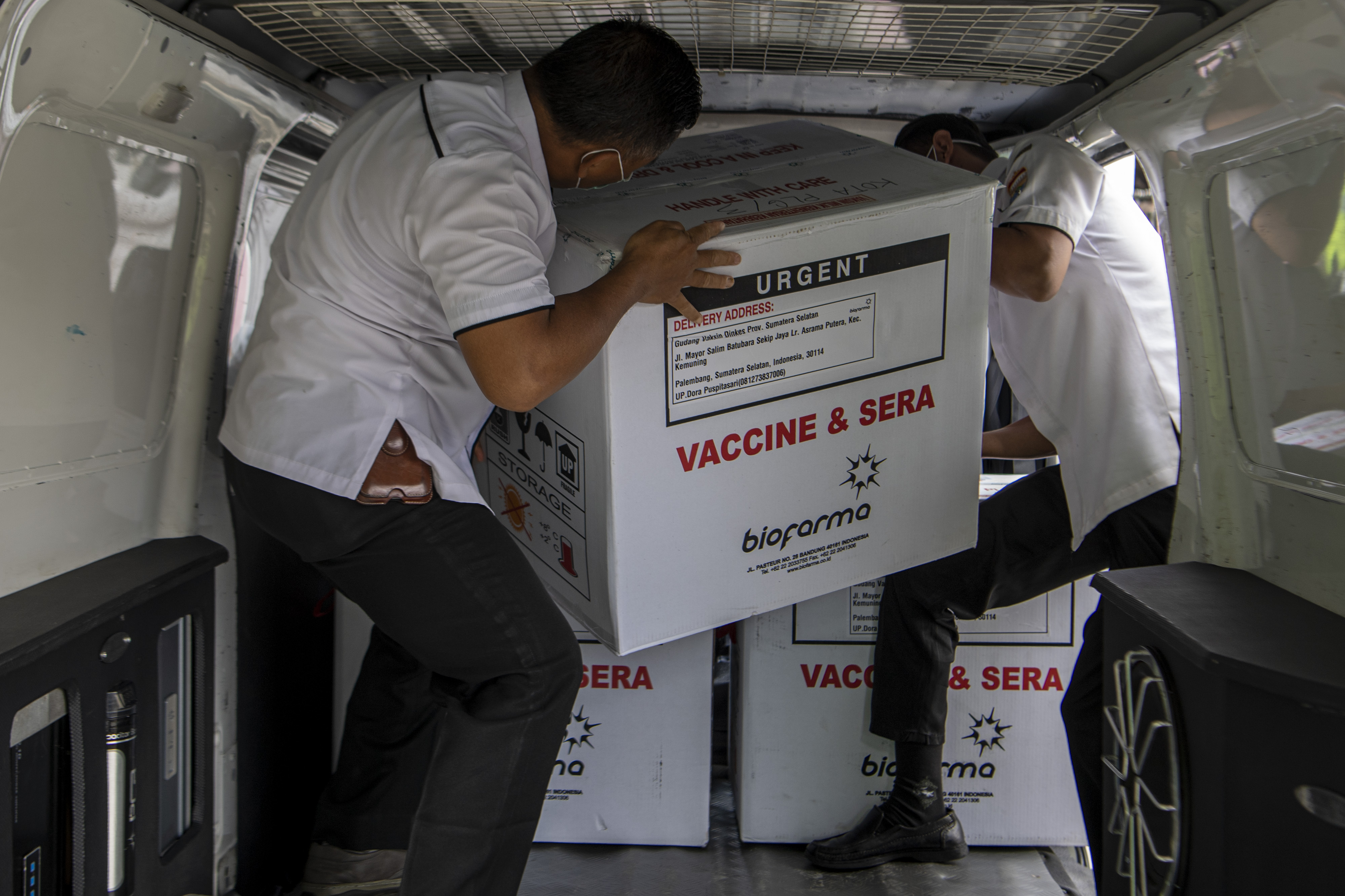 Petugas mengangkut vaksin COVID-19 dari biofarma ke dalam mobil untuk didistribusikan.