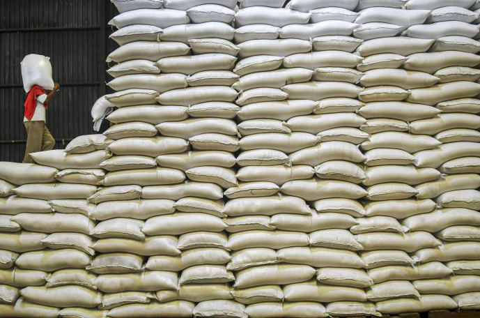 Ilustrasi - Produksi Beras.