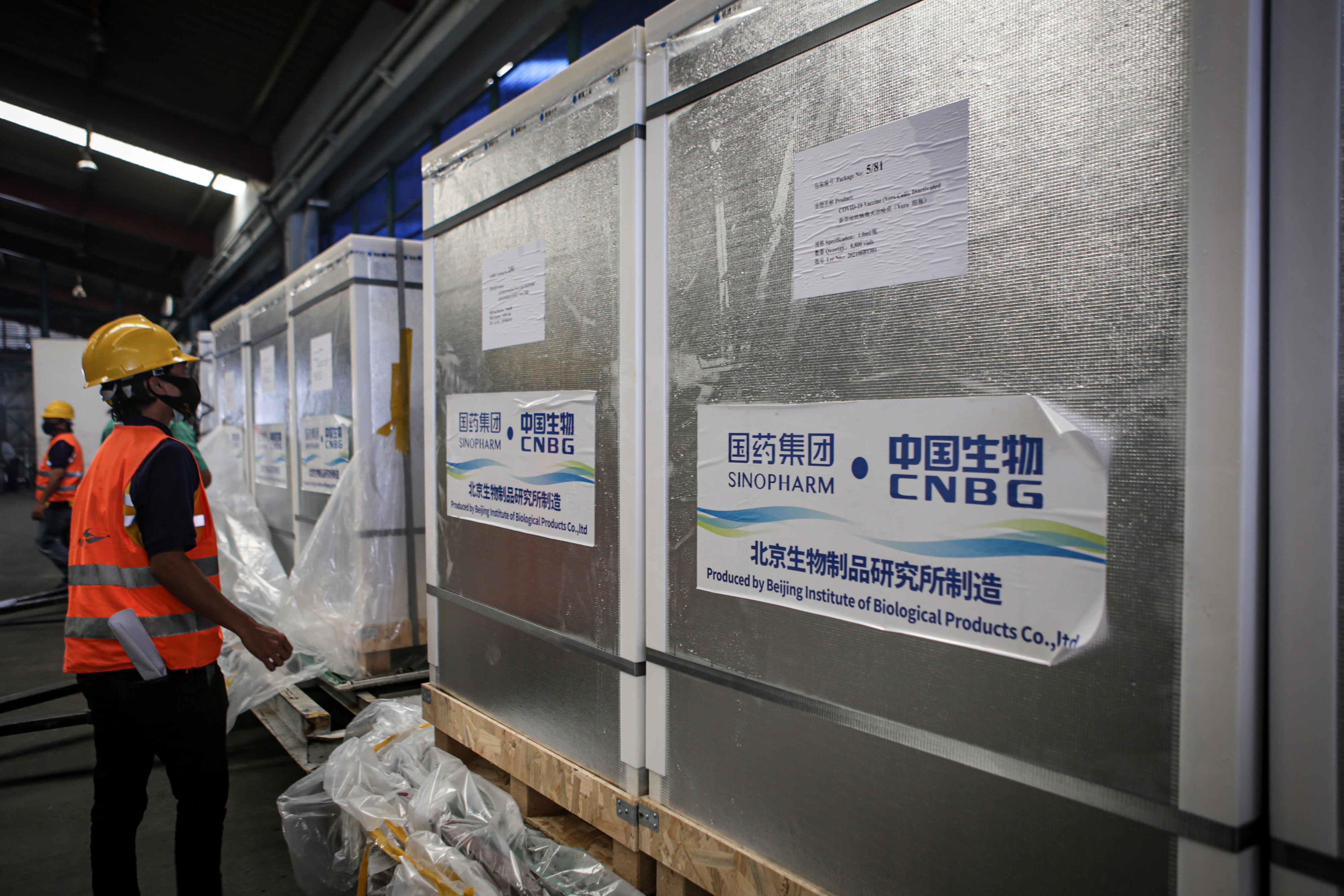 Pekerja memeriksa kontainer berisi vaksin covid-19 Sinopharm di terminal kargo Bandara Soekarno Hatta.