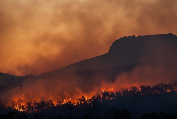 Kenaikan suhu bumi di sejumlah kawasan Eropa telah menyebabkan kebakaran hutan. 