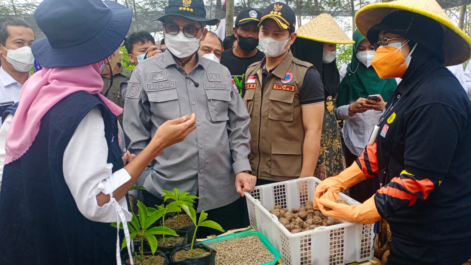 Wamentan Harvick Hasnul Qalbi (tengah) berbicara dengan petani porang di Kabupaten Trenggalek, Jawa Timur.