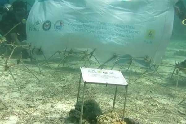 PLN kembangkan 32 kawasan konservasi flora dan fauna 