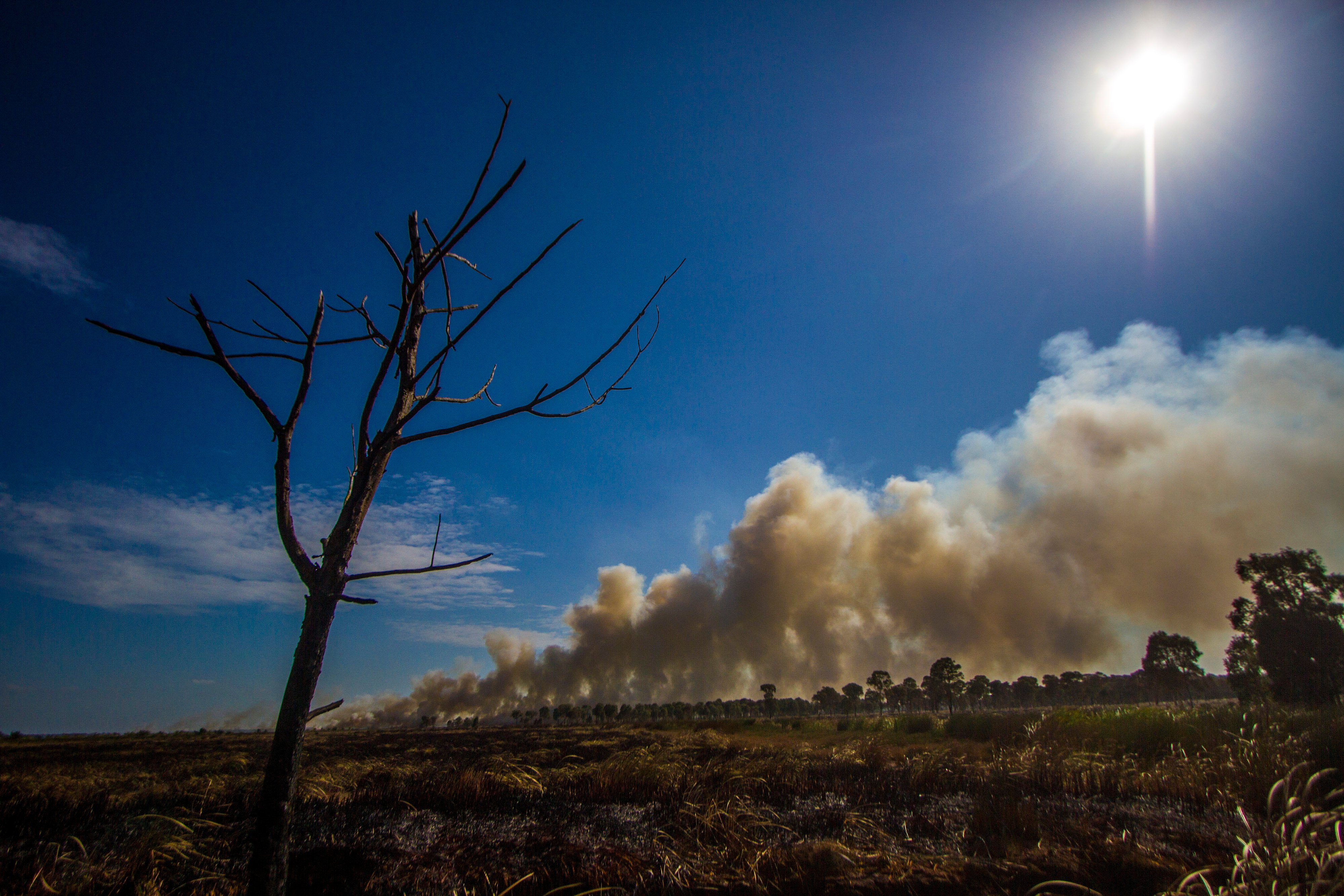 Asap membubung tinggi dari lahan yang terbakar di Desa Ujung Batu, Kabupaten Tanah Laut, Kalimantan Selatan, Minggu (1/8/2021)