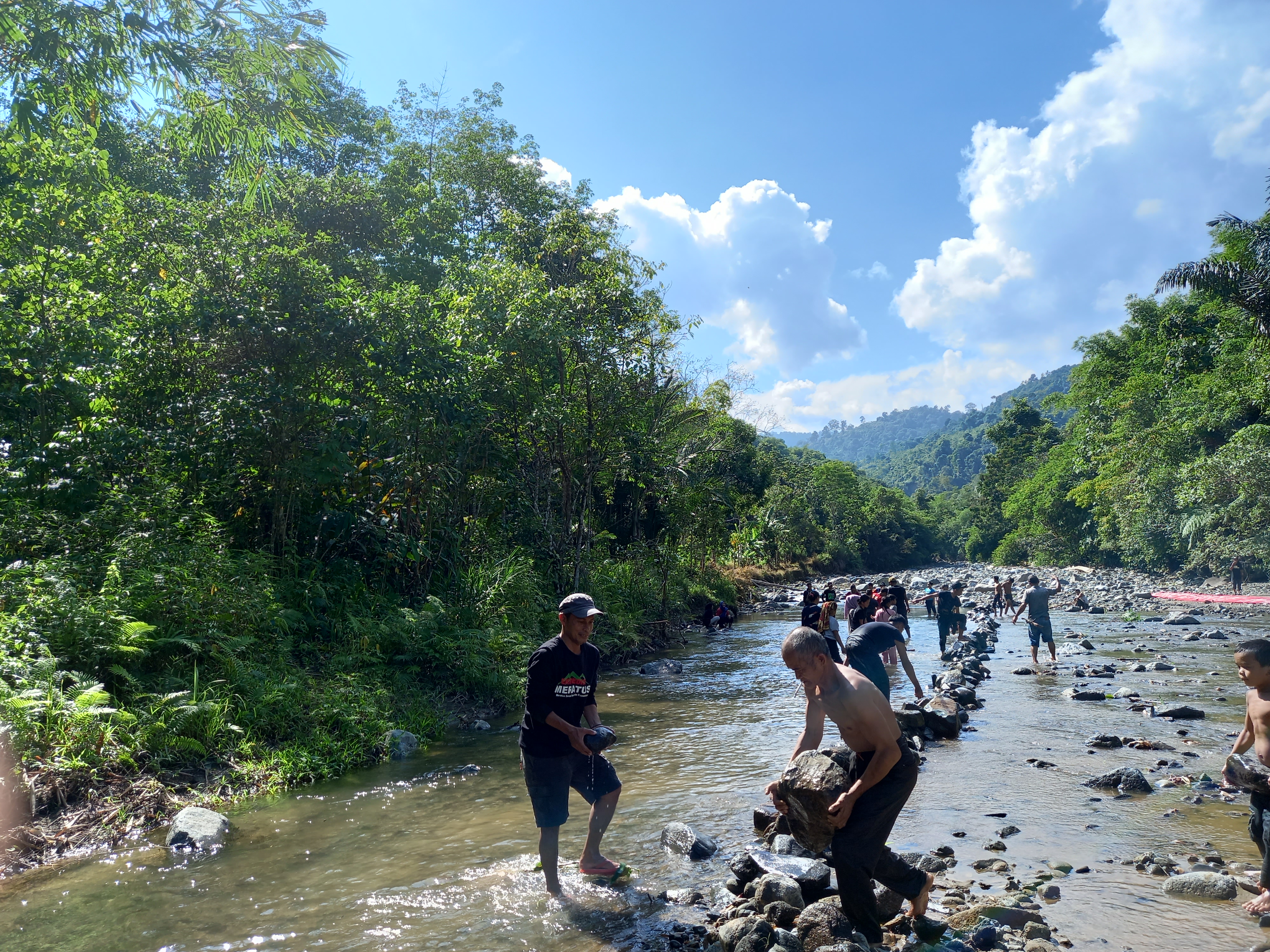 Baliu, kegiatan suku dayak pedalaman Meratus memanenkan ikan di sungai dengan membendung dan mengalihkan aliran sungai dengan batu dan tanah