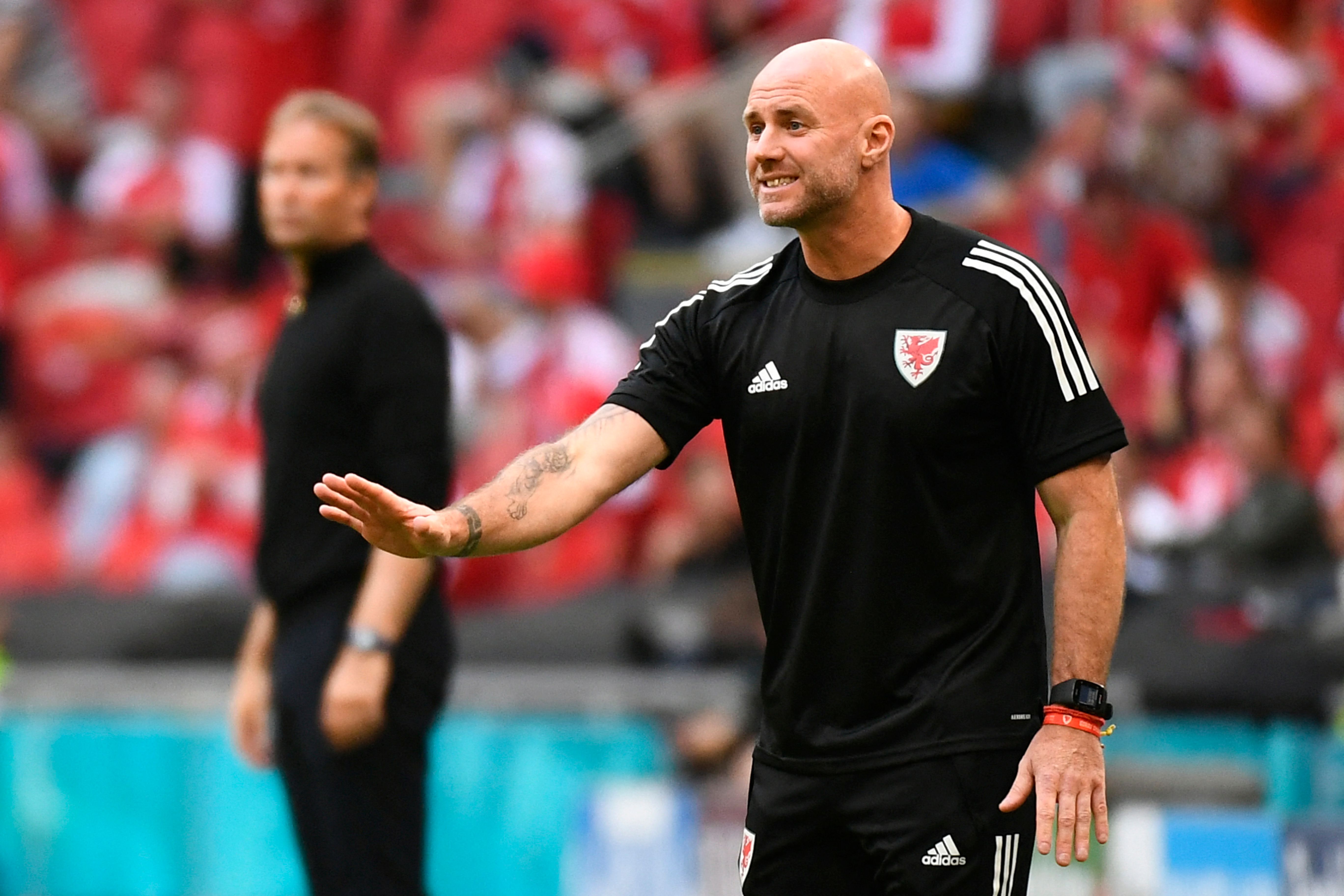 Pelatih timnas Wales Robert Page