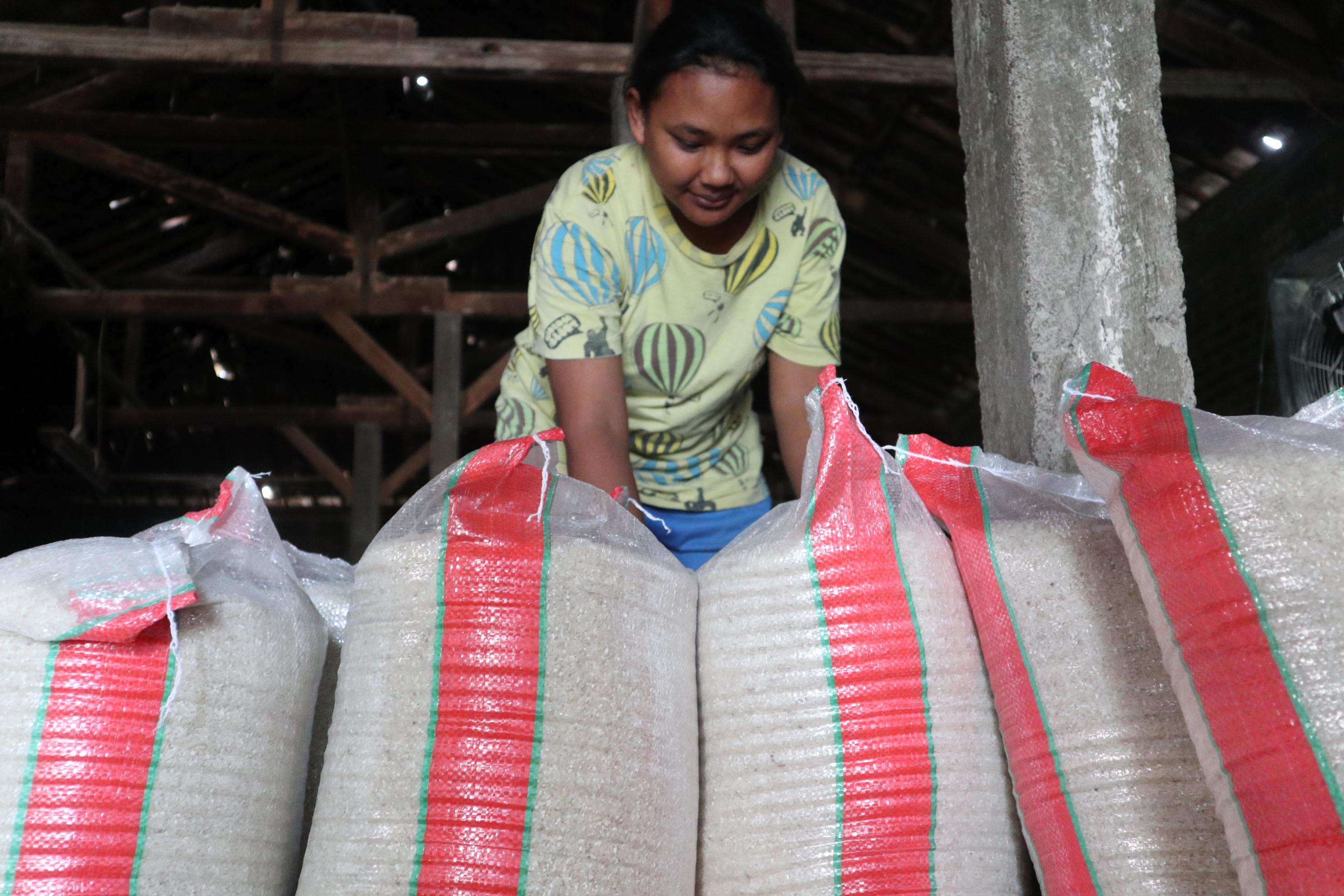 Salah seorang pengelola penggilingan padi di Temanggung sedang menata beras dari olahan gabah yang digilingnnya, beberapa waktu lalu.