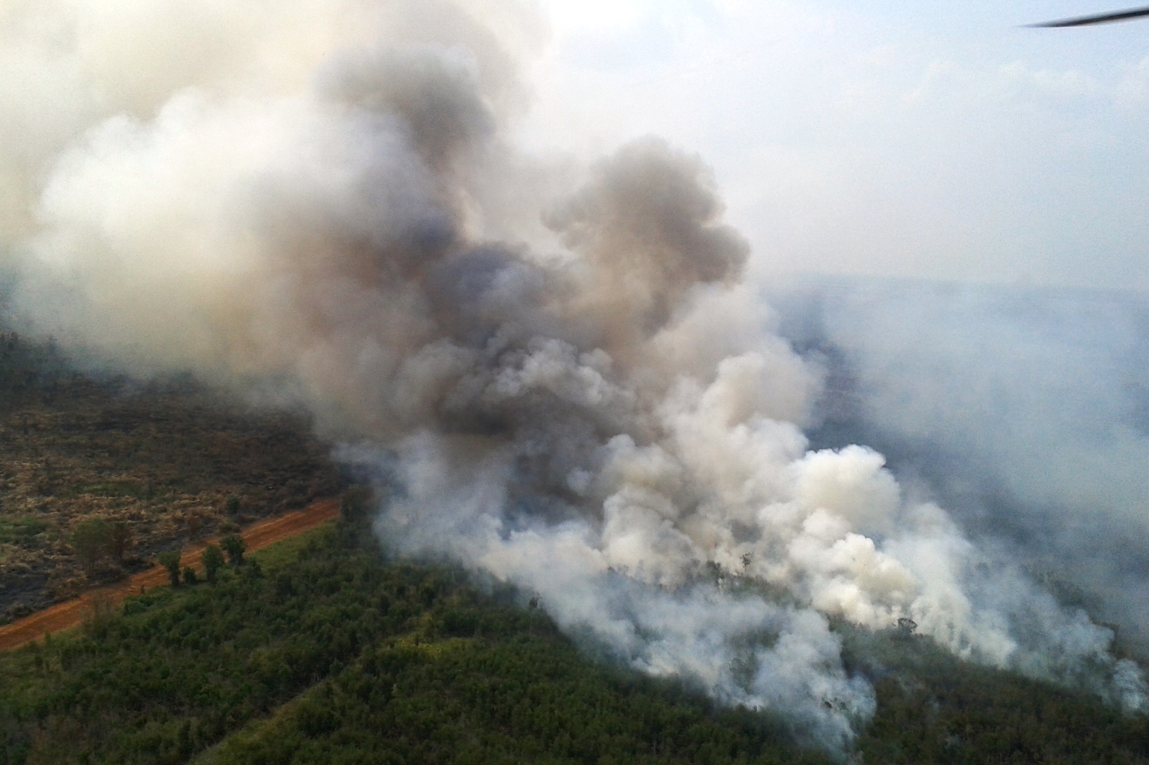 Kawasan gambut di Kalsel rawan terbakar.