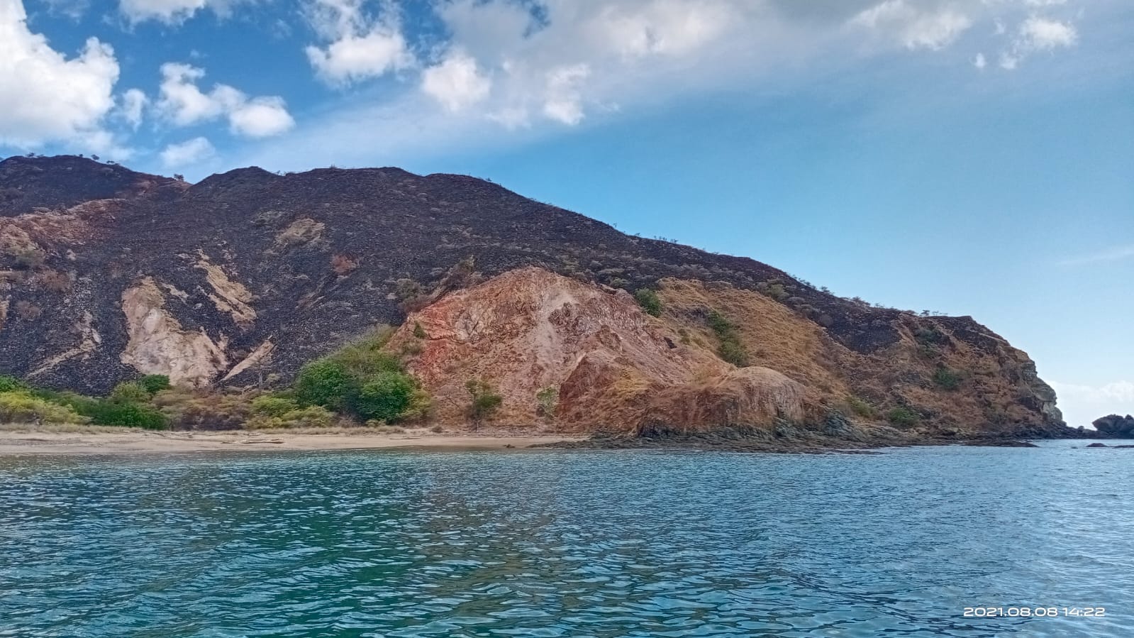 Lahan yang terbakar di kawasan Taman Nasional Komodo, NTT.