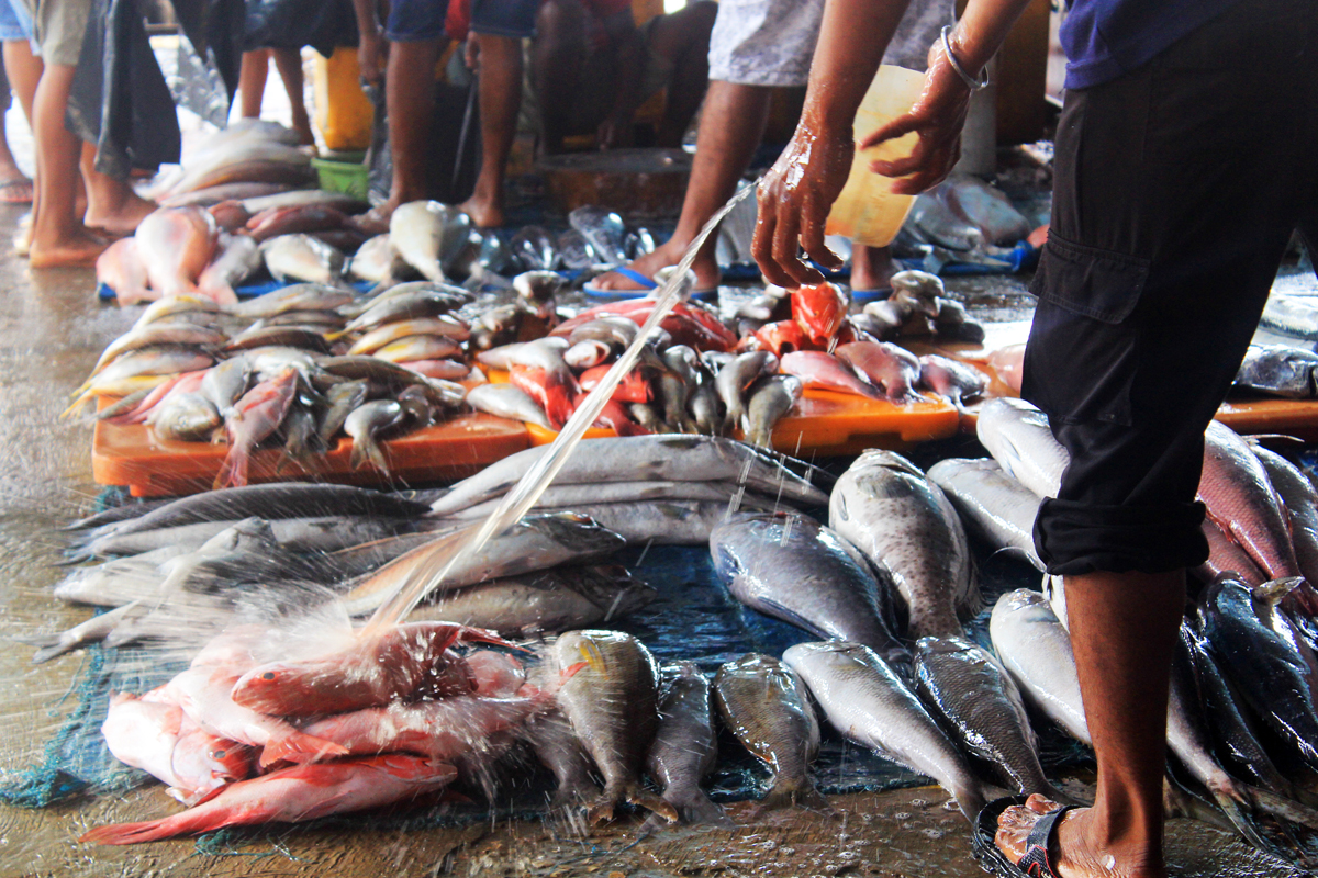  Pedagang menggelar ikan di Tempat Pelelangan Ikan (TPI) Oeba, Kelurahan Fatubesi, Kota Kupang, Nusa Tenggara Timur, 