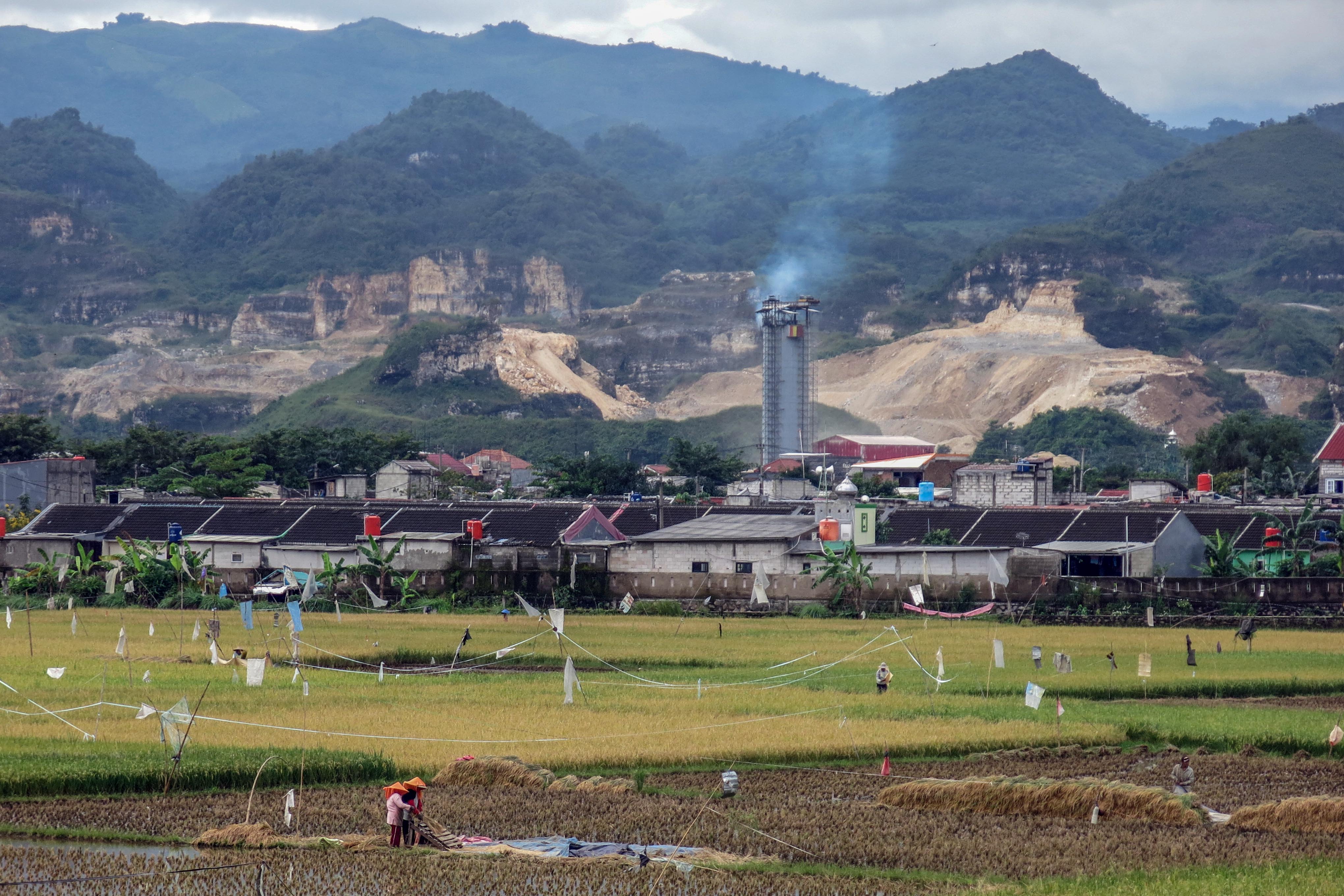 Petani di Klapanunggal, Bogor menanam padi