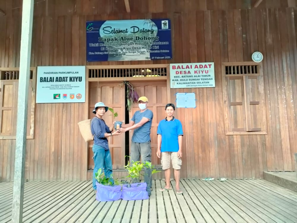 SPI mengembangkan tanaman kopi lokal Kalimantan di Pegunungan Meratus.