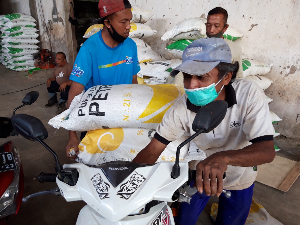 : Petani Desa Sumberjaya, Kecamatan Gondanglegi, Kabupaten Malang, Jawa Timur, menerima bantuan pupuk bulog peduli, Jumat (27/8/2021)