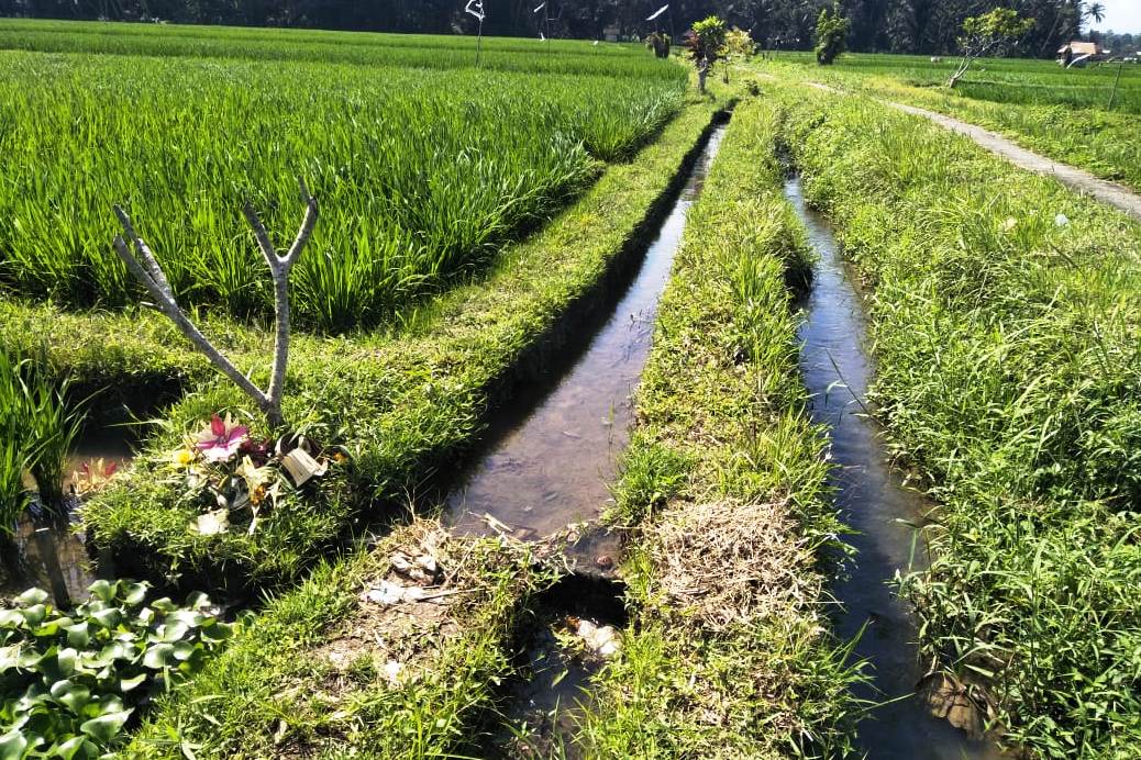 Salah satu proyek irigasi Mentan SYL di Bali. 