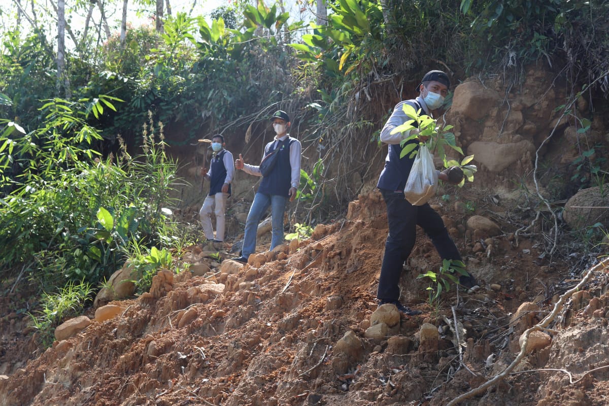 Kelompok jurnalis lingkungan Pena Hijau Indonesia bekerjasama dengan masyarakat penjaga hutan adat Posko Meratus melakukan penanaman pohon