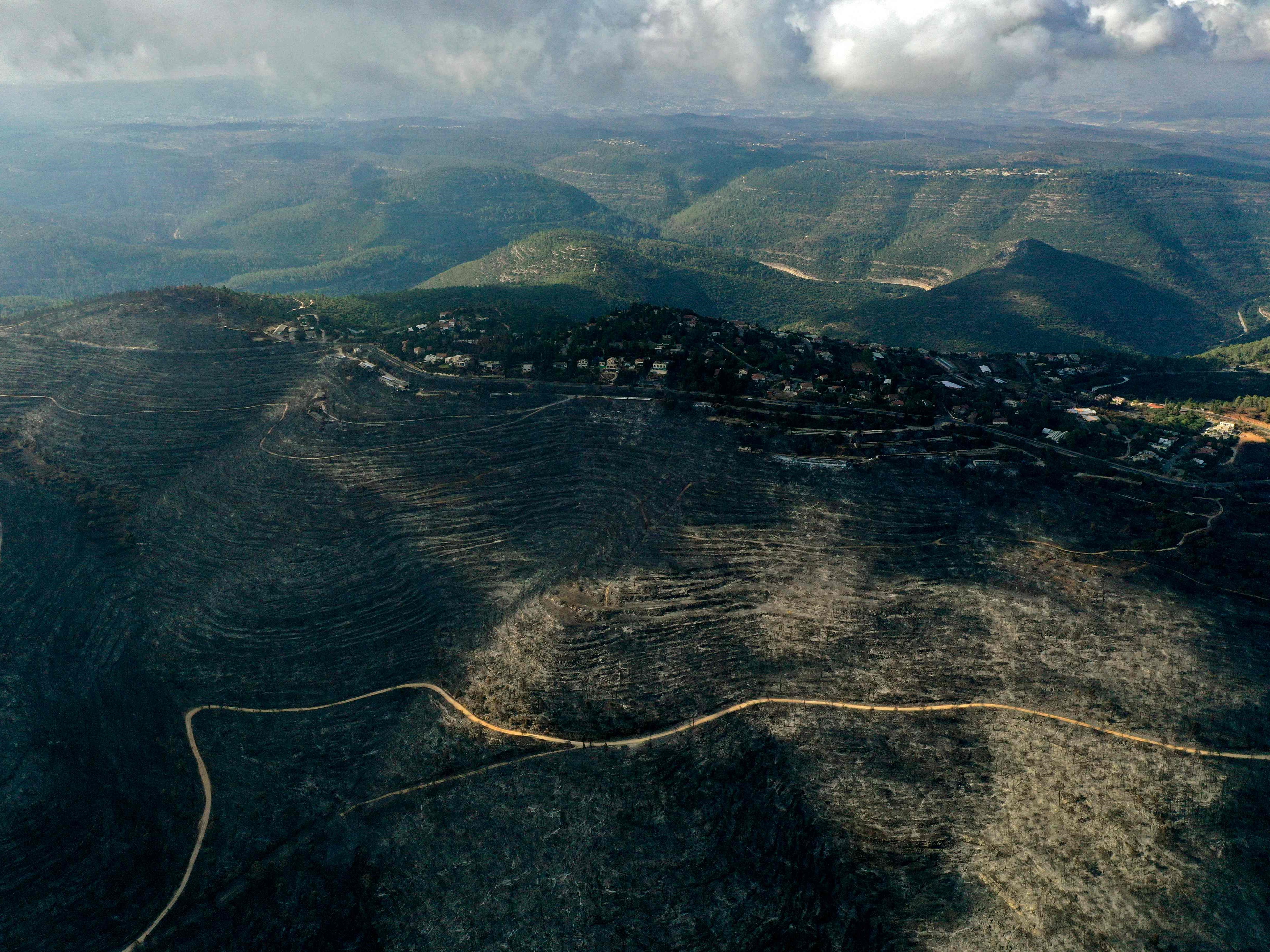 Warga Palestina Turut Bantu Padamkan Kebakaran Hutan Israel 