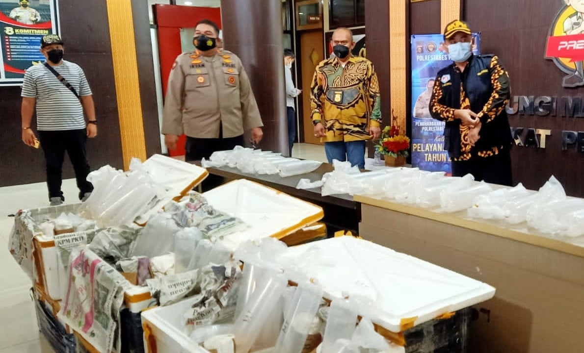 Kapolrestabes Palembang Kombes Irvan Satyaputra (dua kiri) saat rilis ungkap kasus benih lobster ilegal, Jumat (20/8).