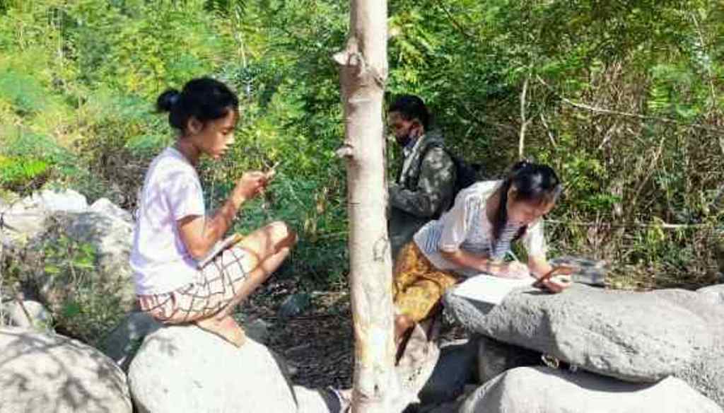 Cari Sinyal Sekolah Daring, Pelajar di Ende Sampai Naik ke Atas Batu