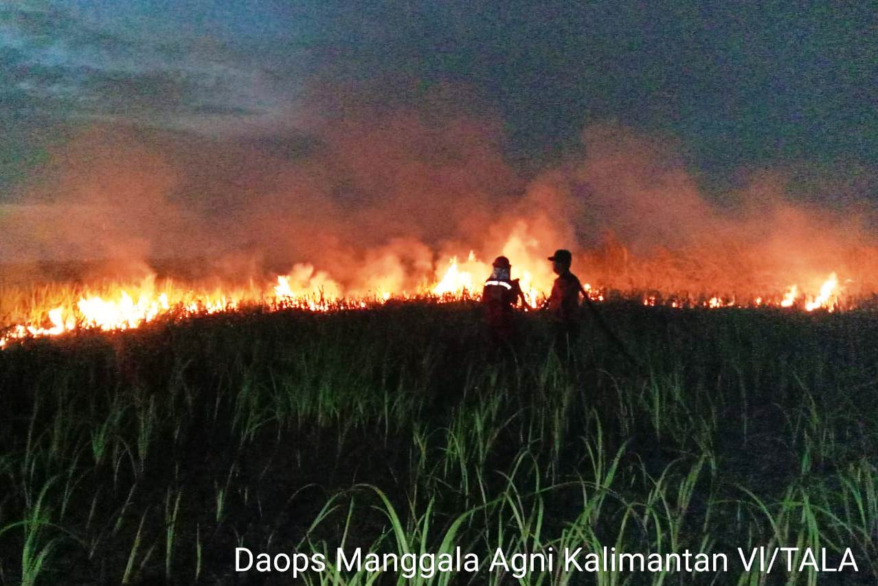 Hujan Bantu Padamkan Titik Api di Kalsel