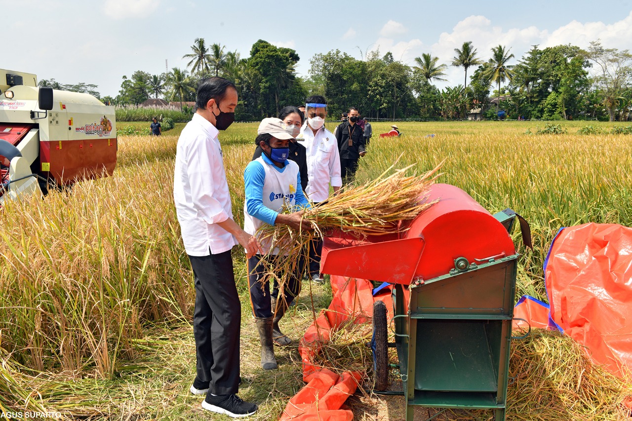Presiden Joko Widodo berbincang dengan petani