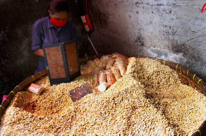 Produktivitas dan Mutu, Kunci Daya Saing Kedelai Nasional