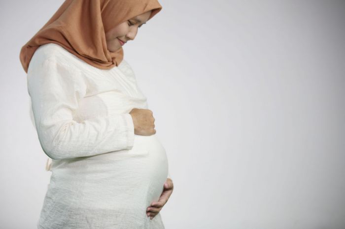 Sentra Vaksinasi Bangkit untuk Merdeka dari Covid-19 Sasar Ibu Hamil