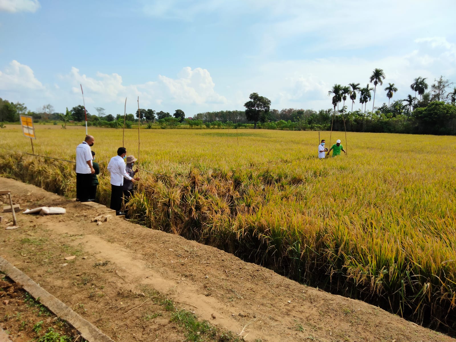  Kecamatan Rambutan dan Kecamatan Tanjung Lago, Banyuasin, Sumsel, menerima program IPDMIP karena dilalui oleh aliran sungai.  
