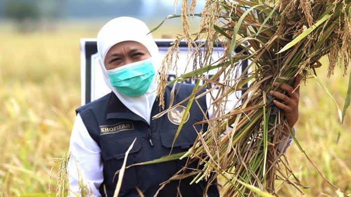 Pertumbuhan Ekonomi Jatim Triwulan II YoY Melesat Hingga 7,05%