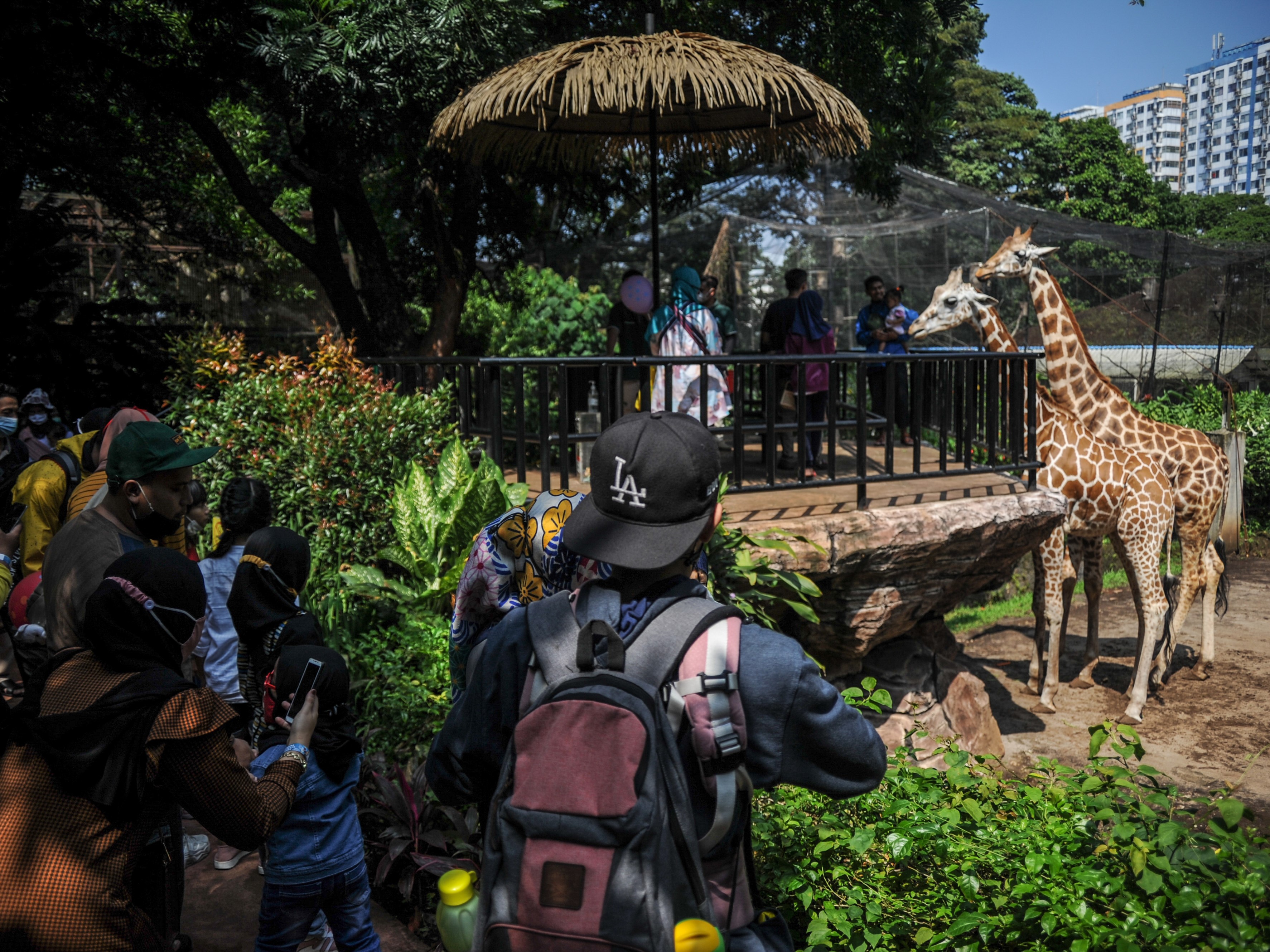 Kebun binatang di Bandung.