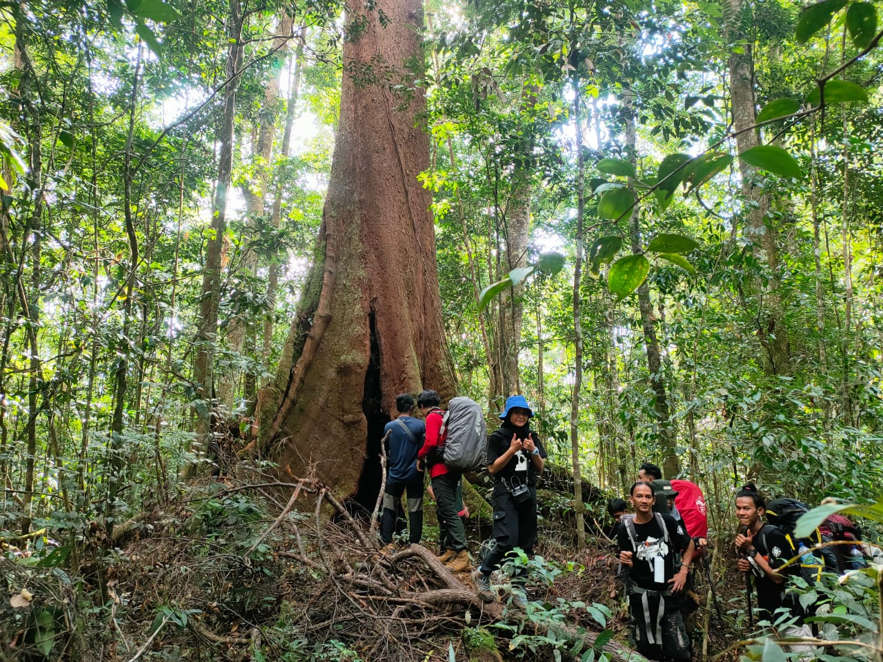 Tim Ekspedisi Meratus melakukan pendakian ke puncak Gunung Hauk, Kabupaten Balangan, Kalimantan Selatan, Selasa (17/8/2021)