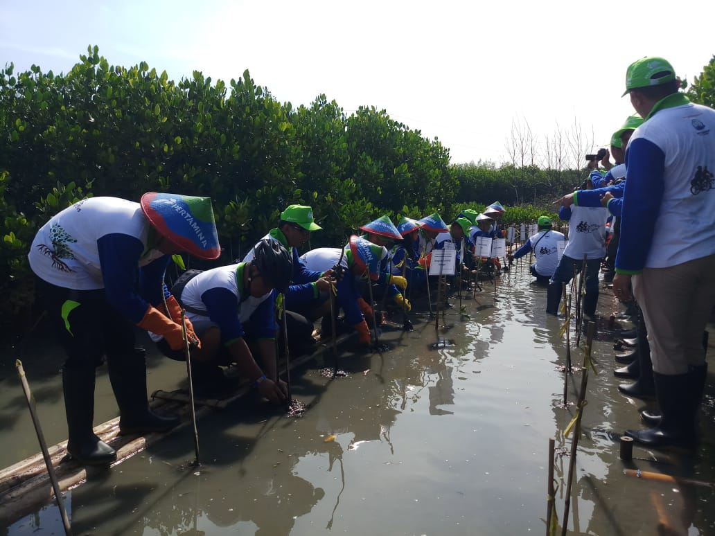 Direksi dan karyawan PT Pertamina serta masyarakat menanam bibit mangrove di Semarang Utara, Jawa Tengah