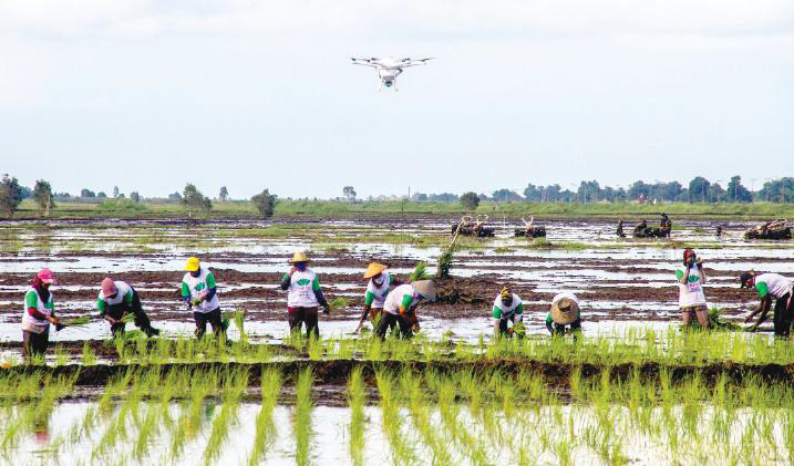 Petani menanam padi di lokasi Food Estate di Kecamatan Dadahup, Kabupaten Kapuas,mKalimantan Tengah, Selasa (6/4/2021). 
