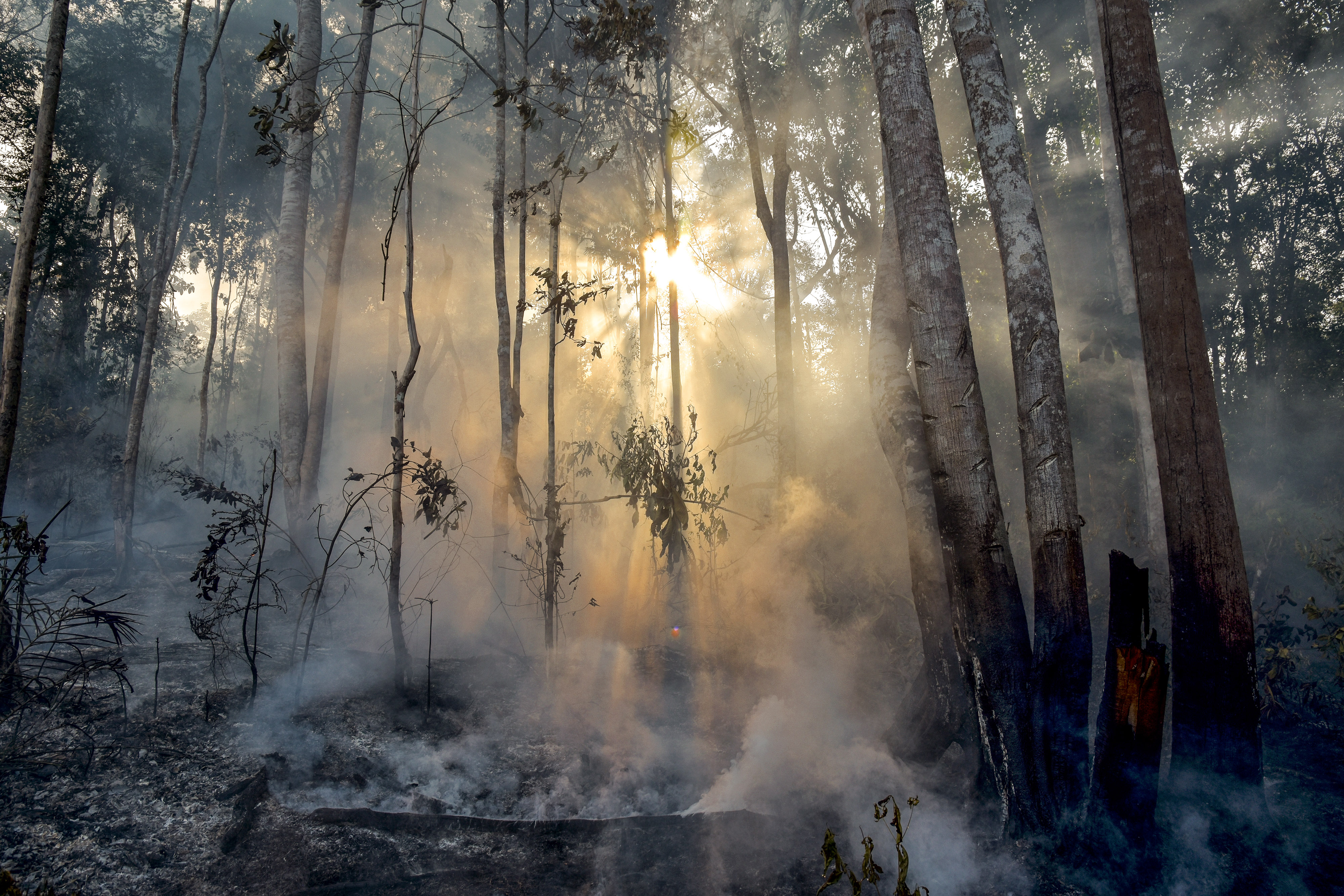 Kebakaran hutan dan lahan mulai bermunculan di musim kemarau ini di beberapa daerah, salah satunya di NTT.